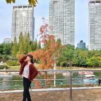 [Voyage17.] 곧 있으면 송도 센트럴파크에서 볼 수 있는 가을 풍경🍂🍁^^