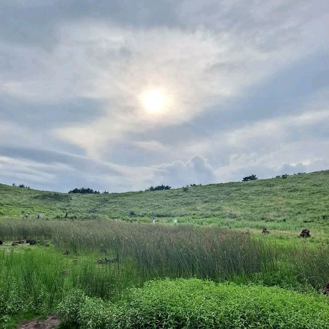 제주 서쪽 일몰 명소로 유명한 '금오름'