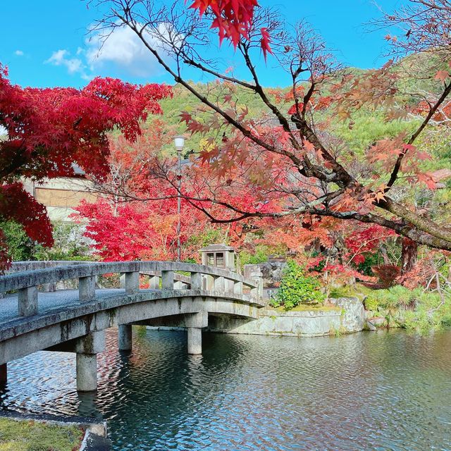 【紅葉巡り】京都ー永観堂