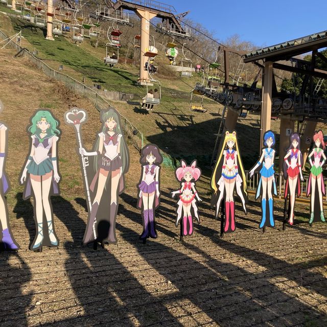 【神奈川】関東のイルミネーションといえば！
