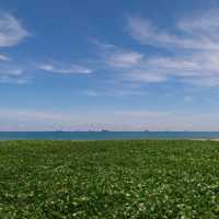 หาดแสงจันทร์