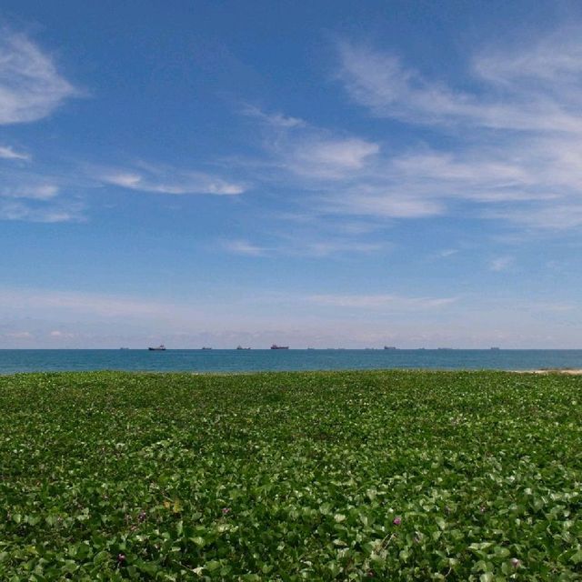 หาดแสงจันทร์
