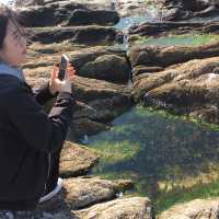 겨울바다 주문진 🌊