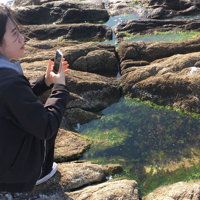 겨울바다 주문진 🌊
