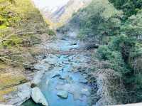 【徳島】祖谷渓谷のかずら橋