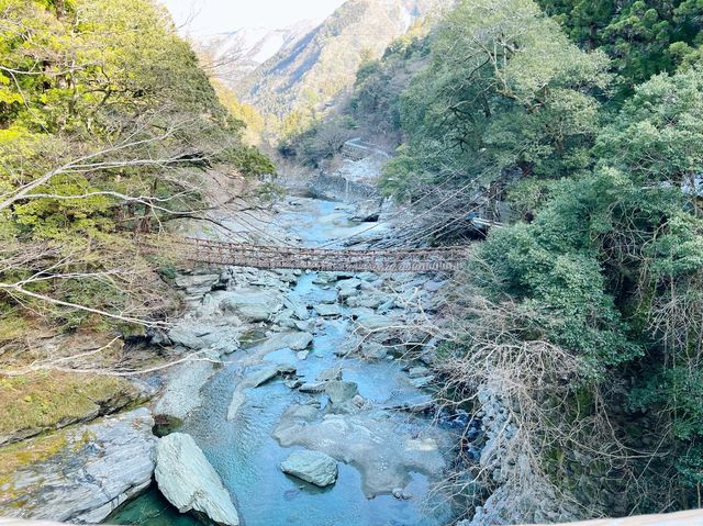 【徳島】祖谷渓谷のかずら橋
