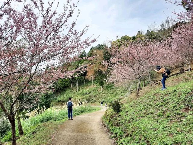 【桃園】復興咖啡廳-悠然秘境小屋