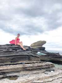 Animasola Island🏝