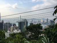 港島劏青蛙