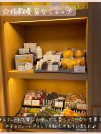 生チョコ発祥のお店【SILS MARIA 馬車道本店】