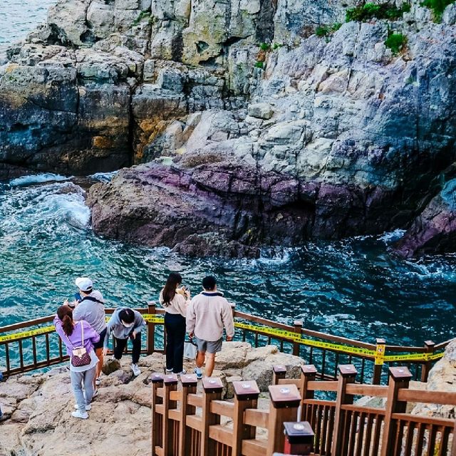 산책하기 좋은 여수 오동도