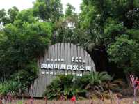 鹿兒島必去《開聞山麓自然公園 》😎😎