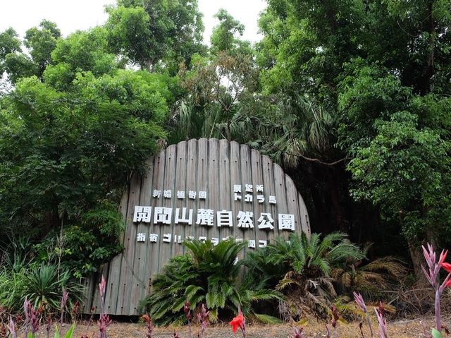 鹿兒島必去《開聞山麓自然公園 》😎😎