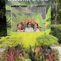 Rainforest World Music Festival