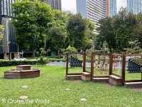 Fun Playground for All Ages