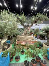 บ้านและสวนแฟร์ 2022 งานประจำปีสำหรับคนรักบ้าน
