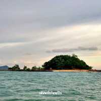เกาะไข่ใน เกาะแมว สวรรค์ของเหล่าทาสแมว
