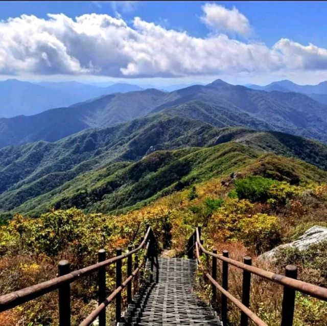 볼수록 빠져드는 그윽한 단풍
