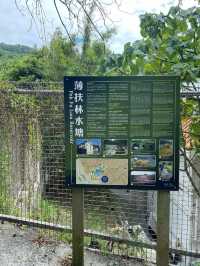 輕鬆行山路線：薄扶林水塘至太平山山頂　～
