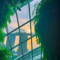 Dreamy Garden in a Futuristic City
