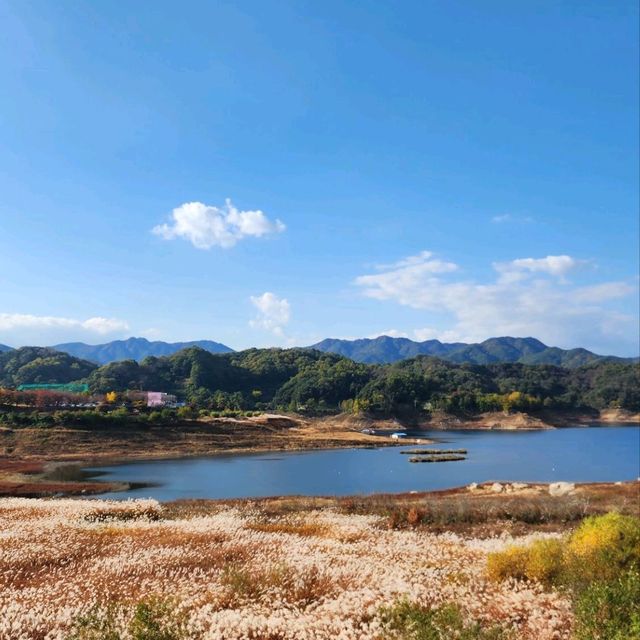 황매산 오토캠핑장에서 가을 산책을!
