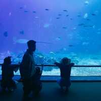 【屏東車城】海洋生物博物館