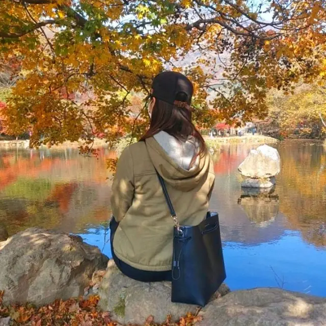 단풍하면 여기 내장산 백양사 한번쯤 꼭 가볼 곳💕