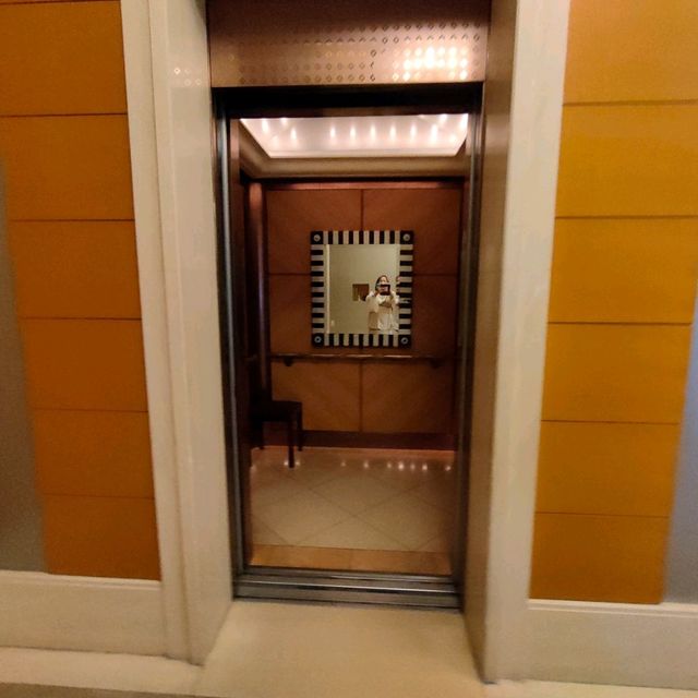 【岐阜 長良川】清流ながら✨老舗ホテル✨