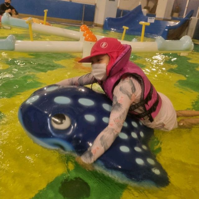 파크하비오와 워터킹덤 뿌시기