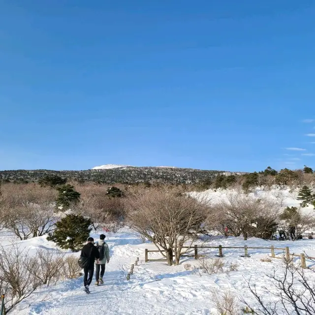 제주 한라산 등반 - 성판악으로 올라가서 관음사로 내려오기