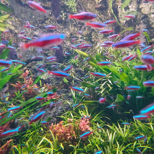 Asia's first and only river-themed park