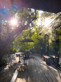 Rawr cafe