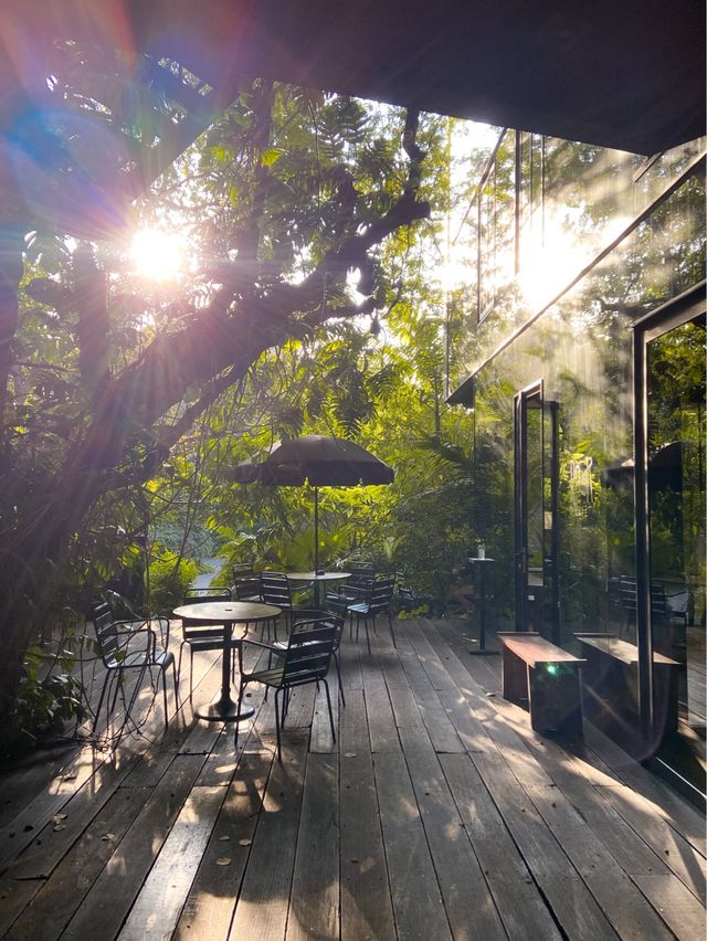 Rawr cafe