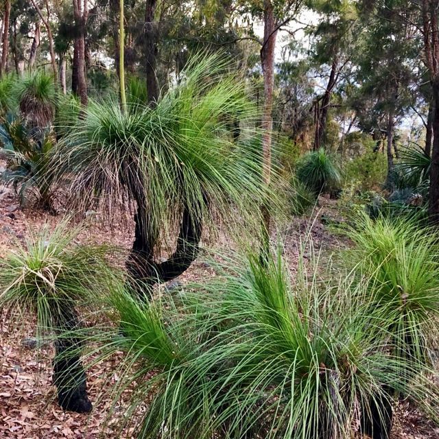 A Moment at Mount Archer (Rockhampton)