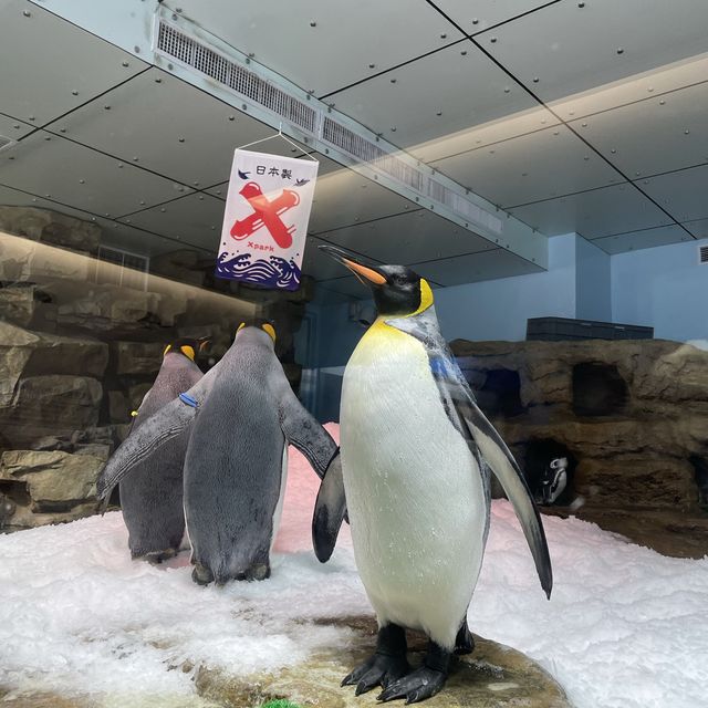 ✨桃園美翻了xpark 水族館✨