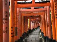 Fushimi Inari Taisha, Kyoto 