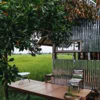 Hom Cafe | Kalasin. คาเฟ่กลางท้ง