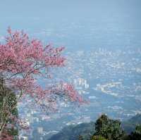 ลานกลางเต็นท์ดอยปุย