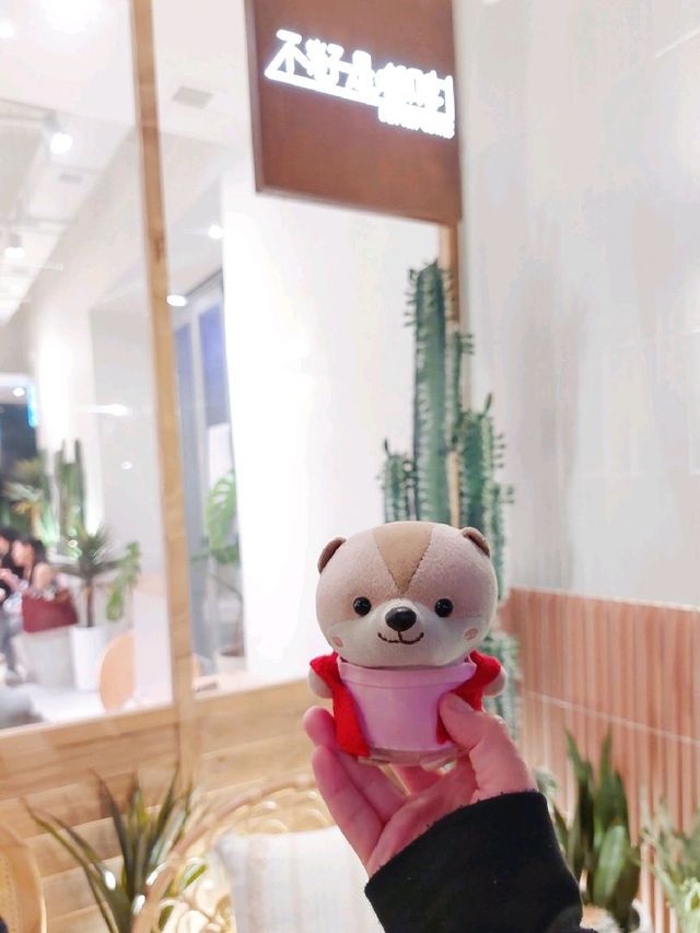西環 | 不籽是咖啡 | 新店進駐西環