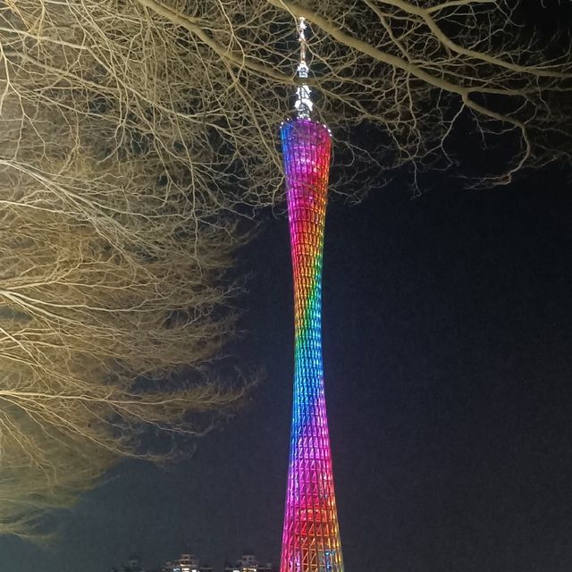三月，在與鮮花爭春的廣州塔上吃喝玩樂