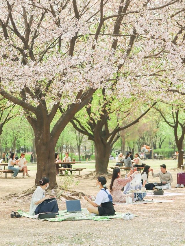 서울 가볼만한 곳, 서울숲