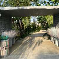 พวน ฟาร์ม คาเฟ่ คาเฟ่เปิดใหม่ย่าน คลอง15