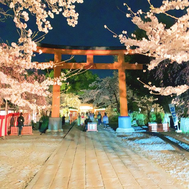 【京都】京都らしらを感じる桜の名所🌸