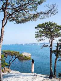 松島旅行
