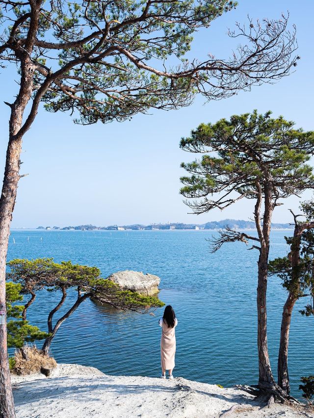 松島旅行