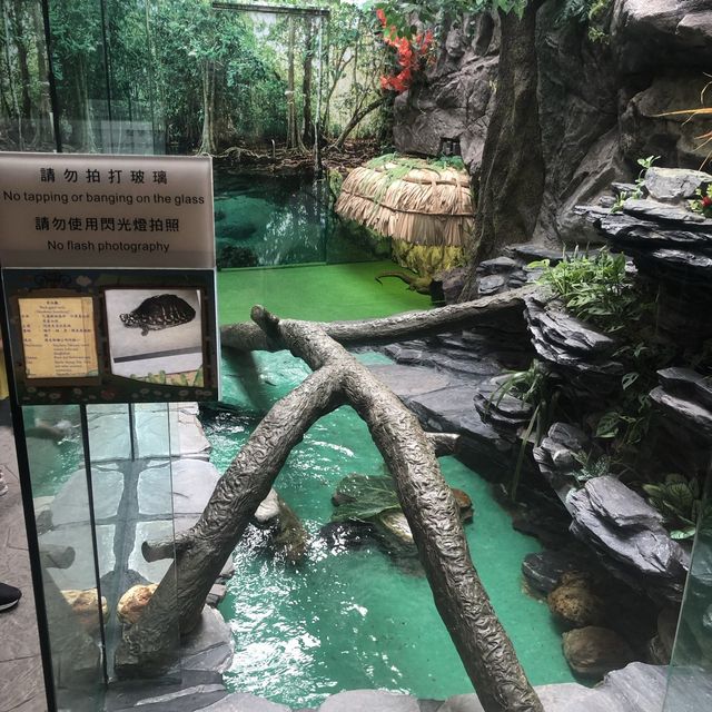 認識爬蟲類好地方