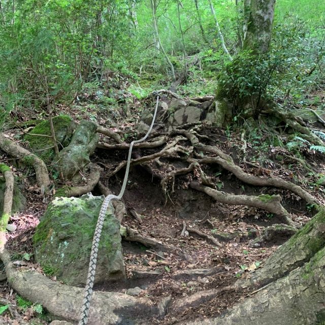 福井県の青葉山に行ってきた！