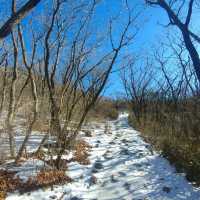지리산 반야봉 등산