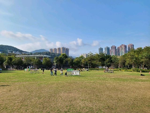 將軍澳天空之鏡🪞+大草地🌳