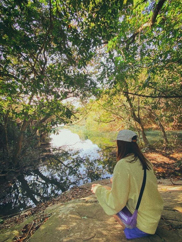 - 河背水塘 - 港版嵐山竹林打卡點！